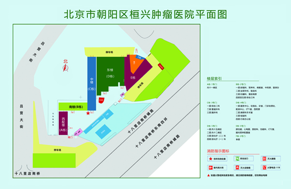 舔舔操啊北京市朝阳区桓兴肿瘤医院平面图